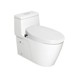 Bồn Cầu Rửa Cơ American