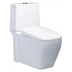 Bồn Cầu CAESAR CD1346 Thùng T1146 Nắp Êm