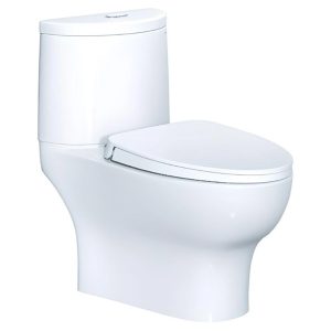 Bồn Cầu CAESAR CD1349 Thùng T1149 Nắp Êm