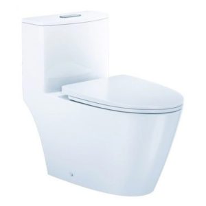 Bồn Cầu CAESAR CD1363 Một Khối Nắp Êm