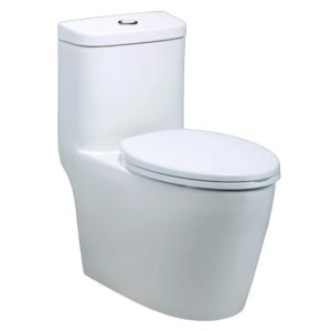 Bồn Cầu Caesar CD1364 1 Khối