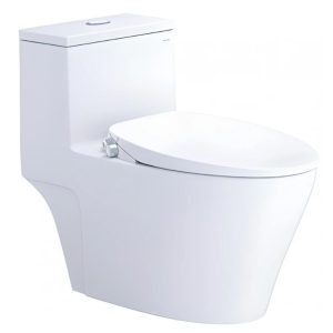 Bàn Cầu Nắp Rửa Cơ Caesar C1356/TAF060 (CD1356/TAF060) 1 Khối