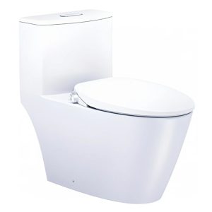 Bồn Cầu Nắp Rửa Cơ CAESAR C1363/TAF060 (CD1363/TAF060) 1 Khối