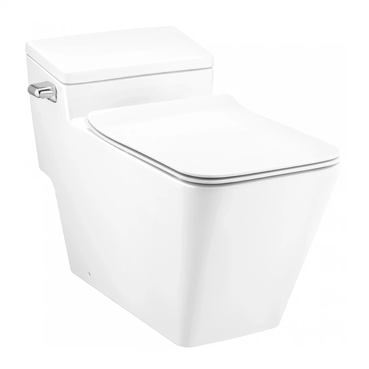 Bồn Cầu COTTO 1 Khối