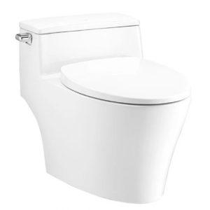 Bồn Cầu COTTO C10357 1 Khối Veranda Xả Gạt