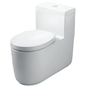 Bồn Cầu COTTO CPW10007 MWH#GR2 1 Khối Quil Xả Nhấn