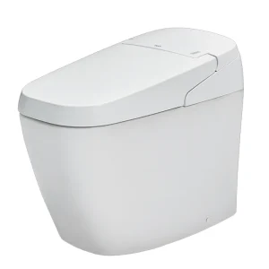 Bồn Cầu Thông Minh INAX AC-G216VN Satis Trắng