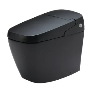 Bồn Cầu Thông Minh INAX AC-G216VN/BKG Satis Màu Đen