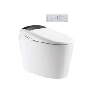 Bồn Cầu Điện Tử Viglacera