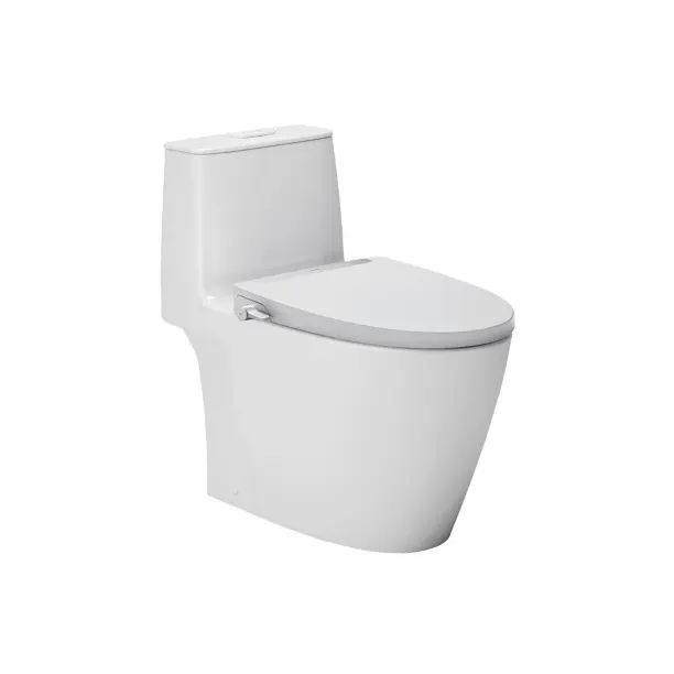 Bồn Cầu Rửa Cơ INAX